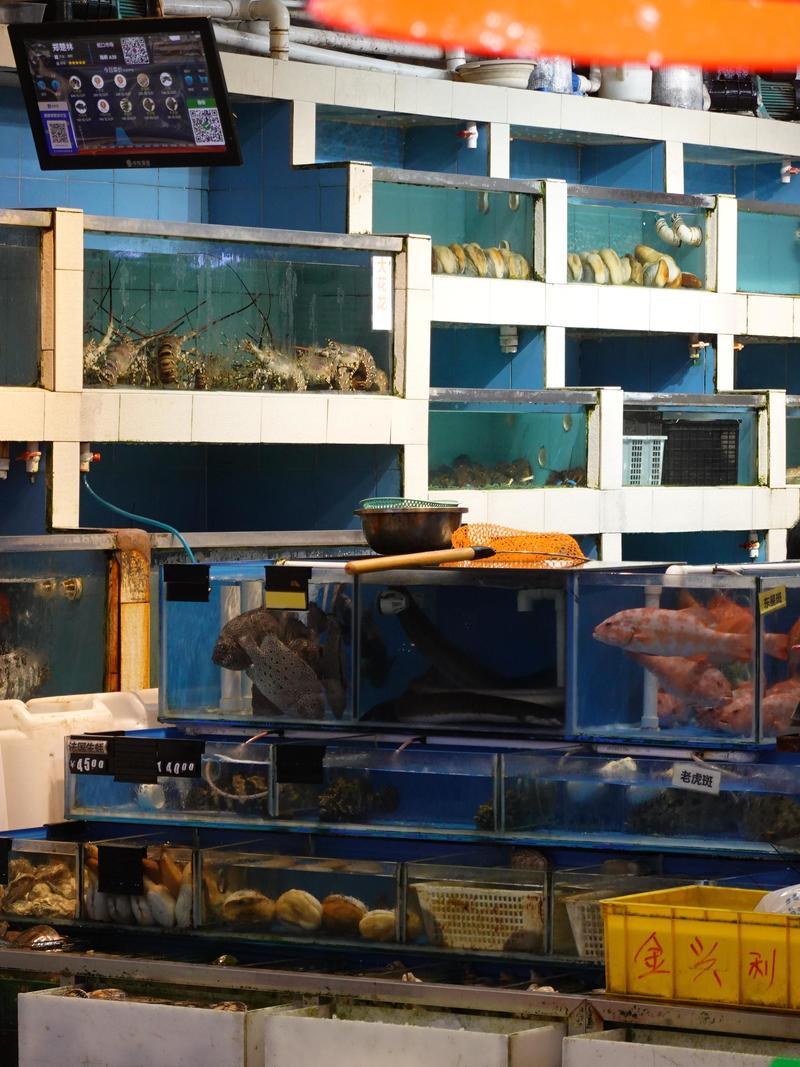 深圳ENJOY｜城市漫游指南·蛇口