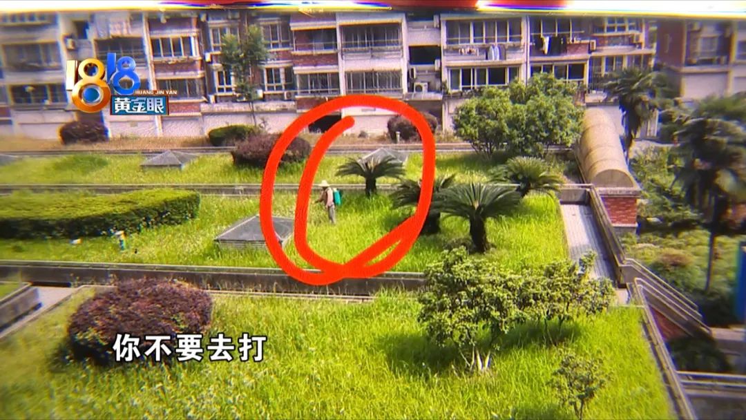小区里的树被物业喷农药药死,小区里果子成熟了物业打农药
