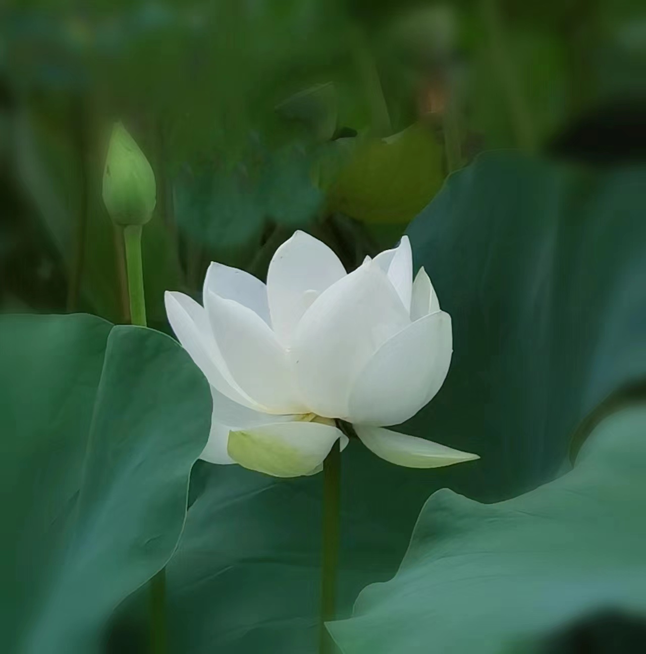 投资有哪些道理,投资中最简单的事我的经验与教训