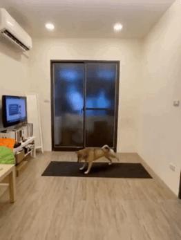 中国足球快乐源泉,中国男足快乐源泉