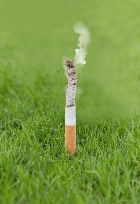 世界历史上13个偶然发明，罪恶无边