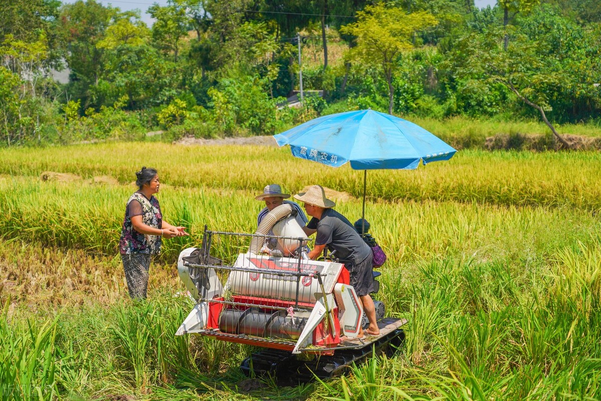 久保田稻田收割机多少钱一台,久保田收割机120匹2022最新款