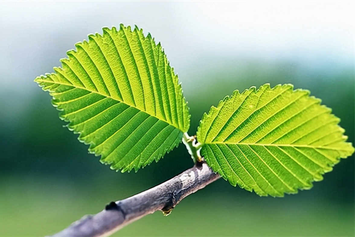 当发现自己的老公背叛你怎么办,发现丈夫背叛后该怎么做