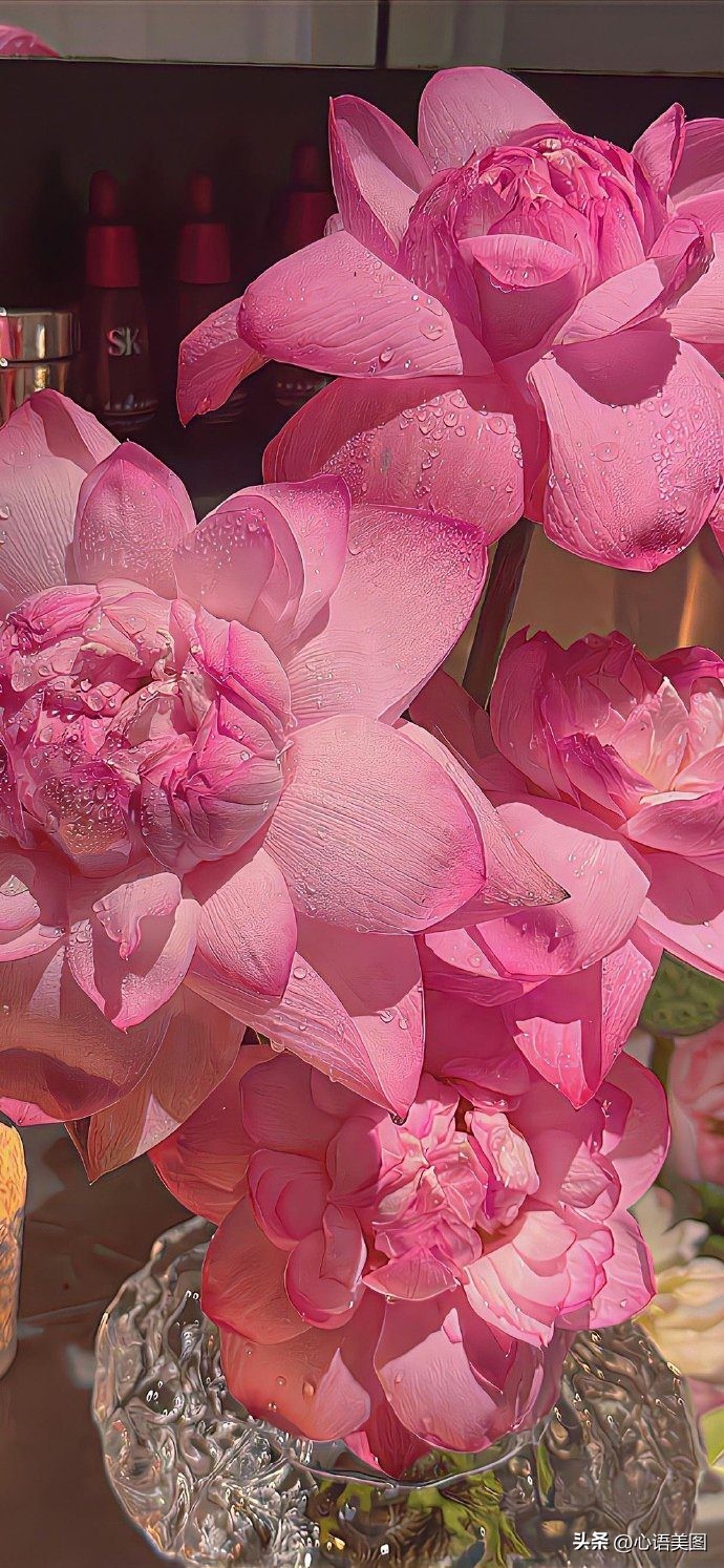 晚安励志句子文案治愈心灵,晚安心情释然很暖很正能量的文案