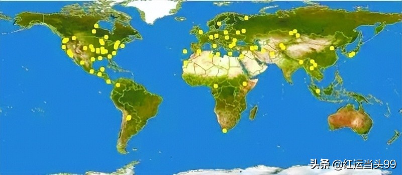 大蒜最早在哪个国家种植,大蒜全世界都有吗