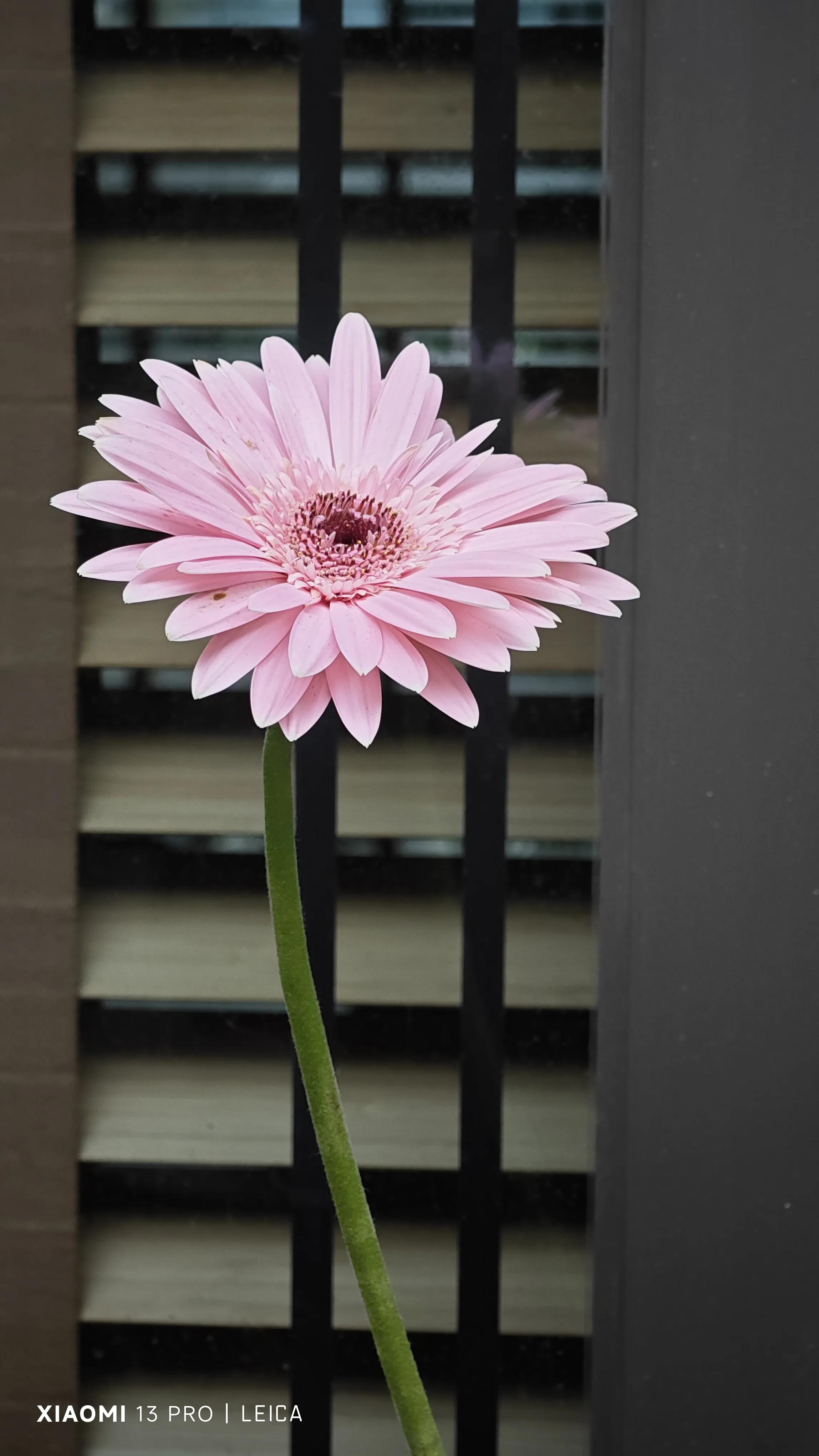 夏天的多巴胺是什么,夏天的多巴胺穿搭是什么