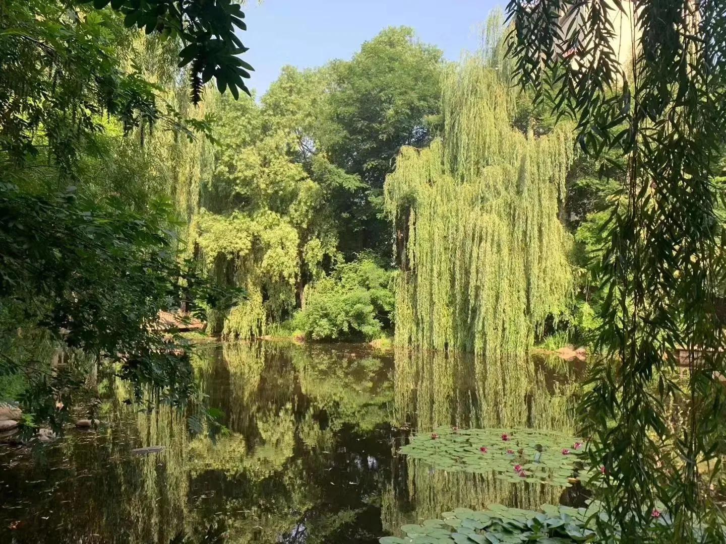 在沈阳住了十五年的感受,在沈阳生活一辈子