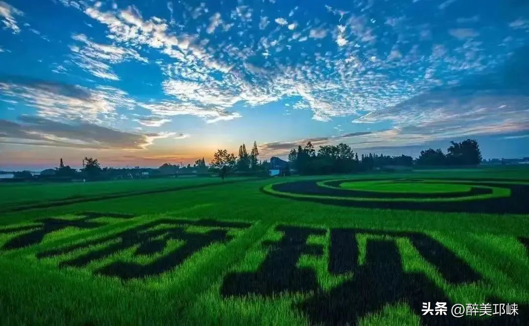 邛崃市创建先进县,西部百强县邛崃排名24位