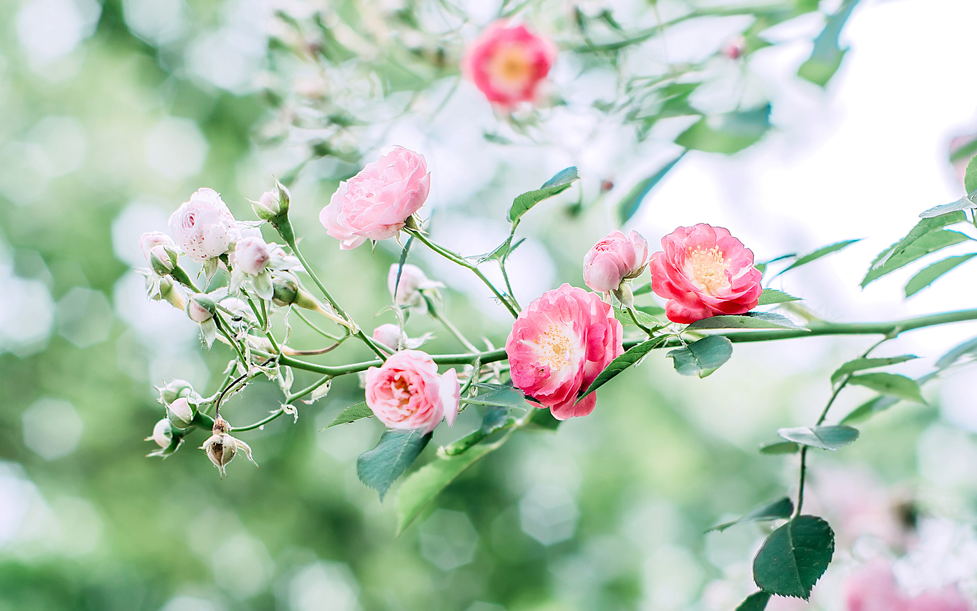 无论和谁相处请保持适度冷漠,无论和谁相处请记住这110个忠告