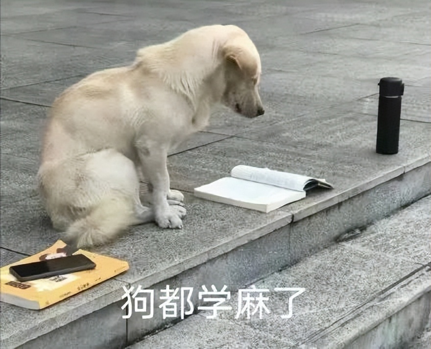 鐨囧鐚伯鑳戒笉鑳戒拱,涓嶆兂涔板搧鐗岀殑鐚伯