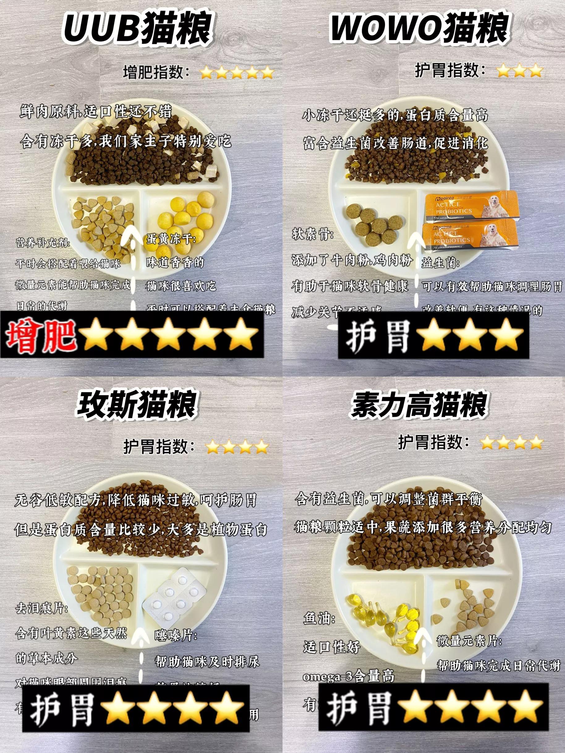 月均花费200低成本养猫攻略,月收入2000养猫