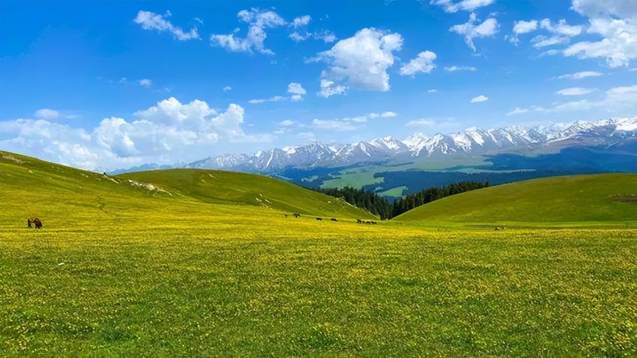 *疆新**为什么不包邮？看完*疆新**有多大就清楚了