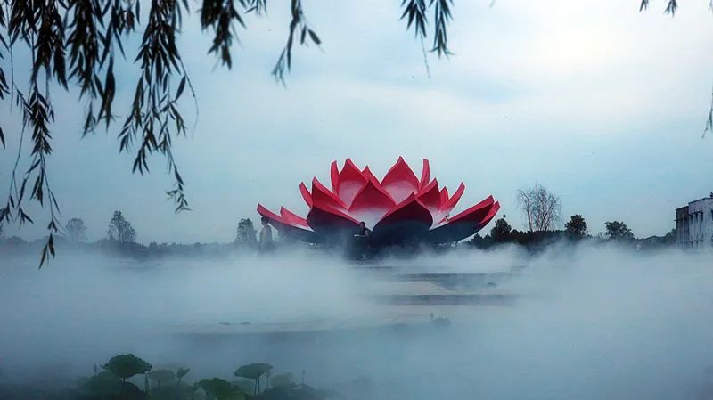 周口淮阳区荷花节在哪里举办了,周口淮阳荷花节开幕式节目单
