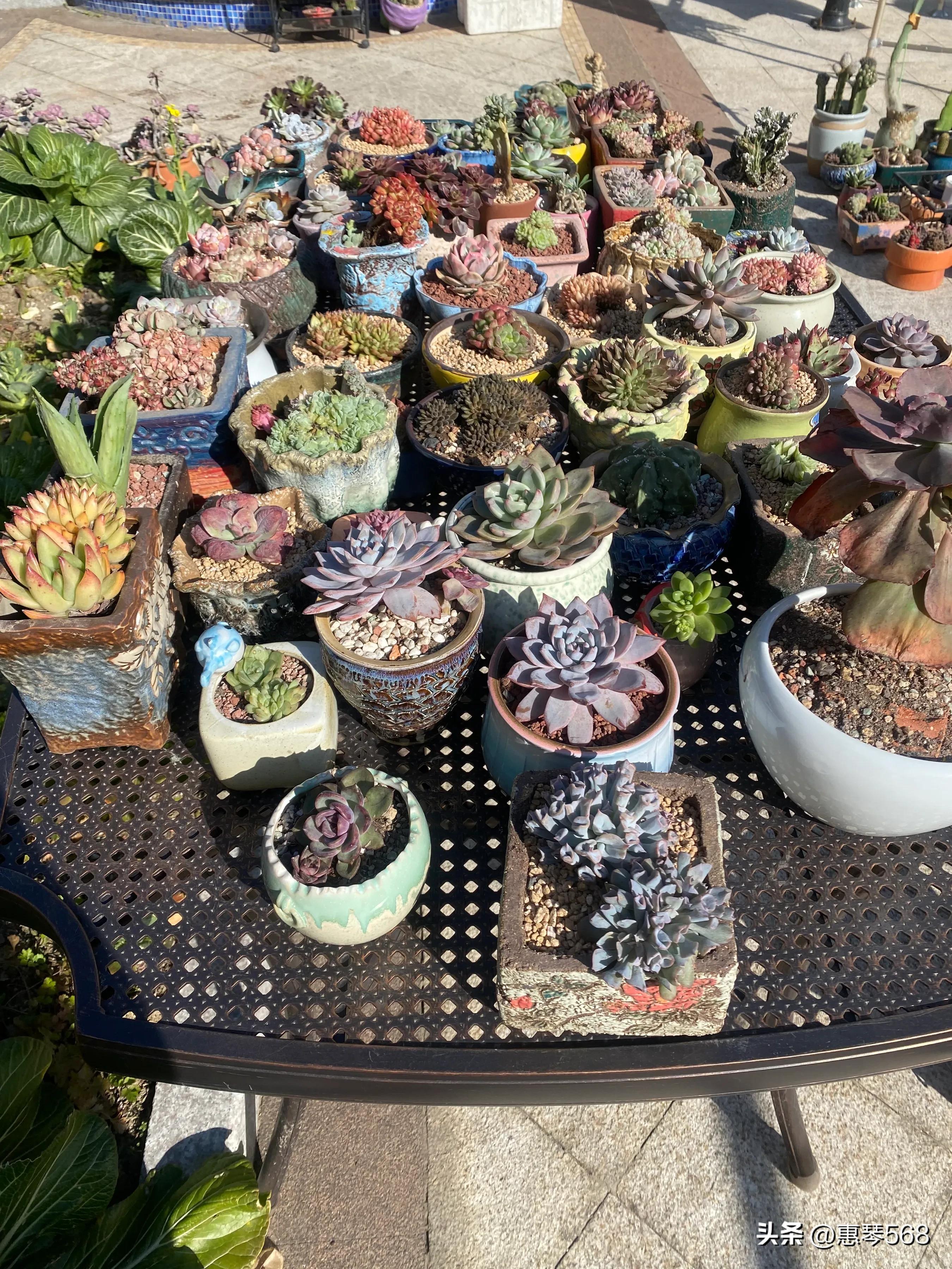 我的照片全部删了怎么找回来,我的照片图库在哪里