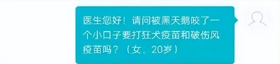 被黑天鹅打了,被黑天鹅打了一顿