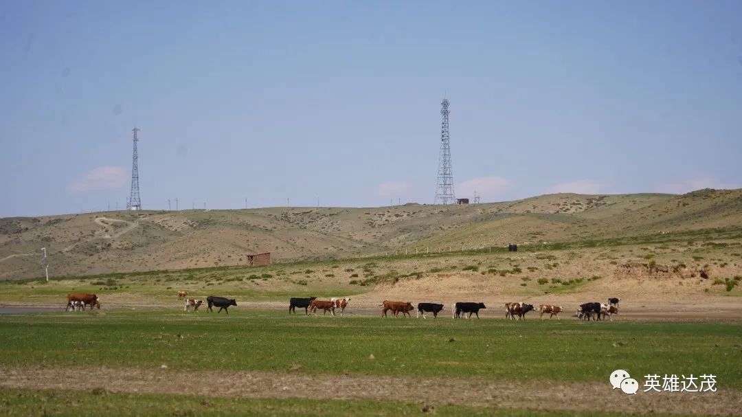 乡村行看振兴玉林,乡村行看振兴山西