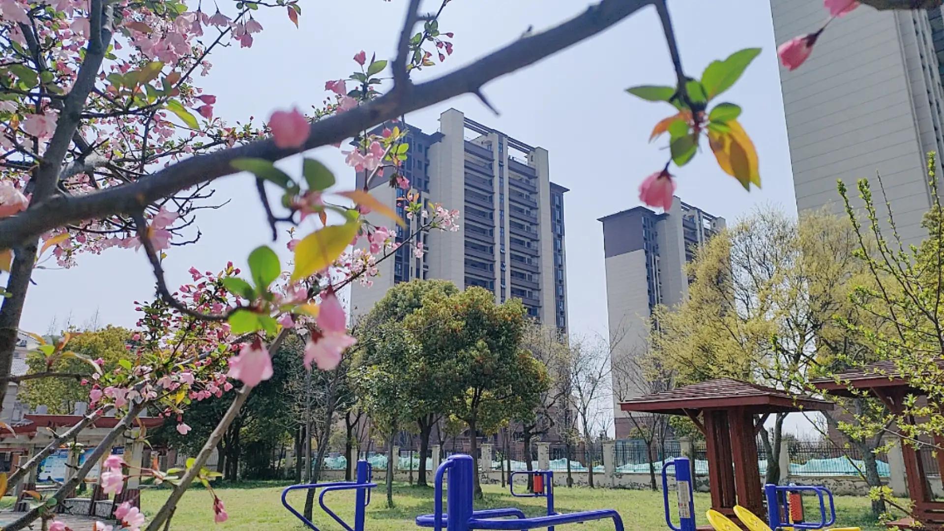 美丽的句子心情随笔,心情随笔关于自己的感悟