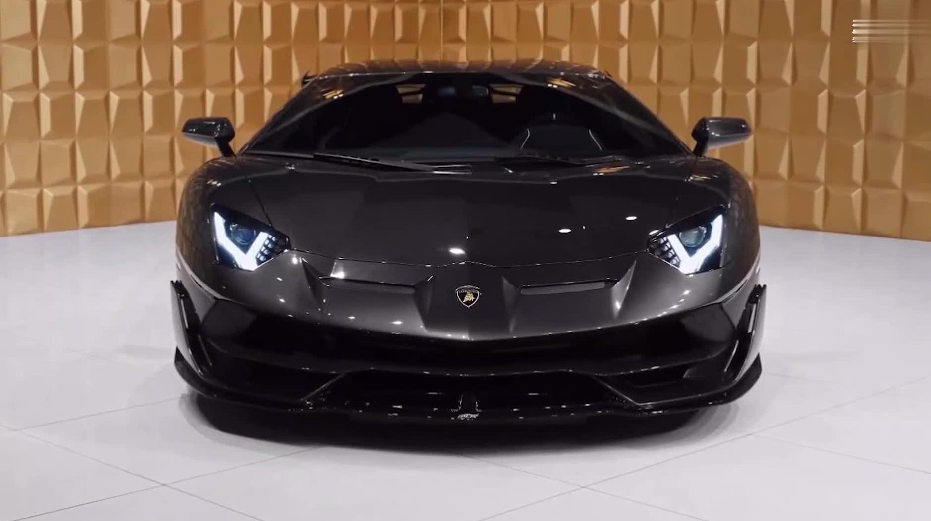 *博兰**基尼，深海巨鲍，沃尔沃总裁，那些又幸运又努力的网红