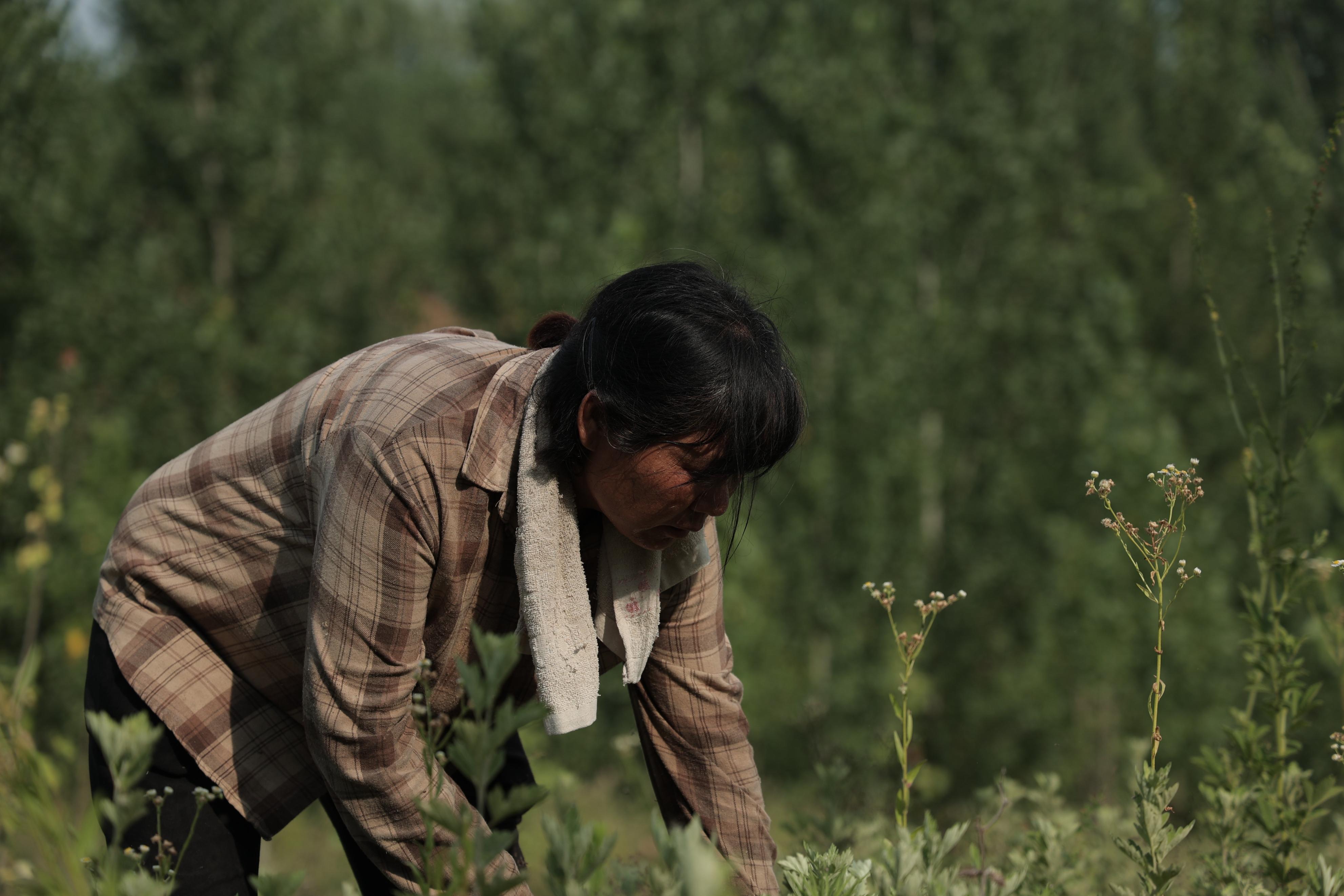 奶奶不慎摔骨折被照顾长大的孙女,奶奶摔伤为孙子治病