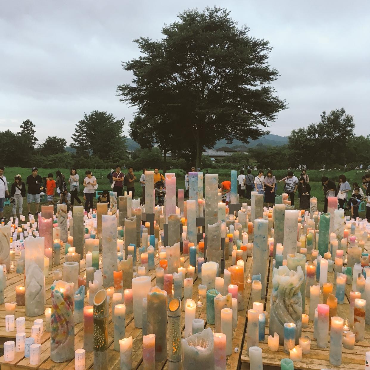 广末凉子最佳母亲奖,最佳母亲奖广末凉子