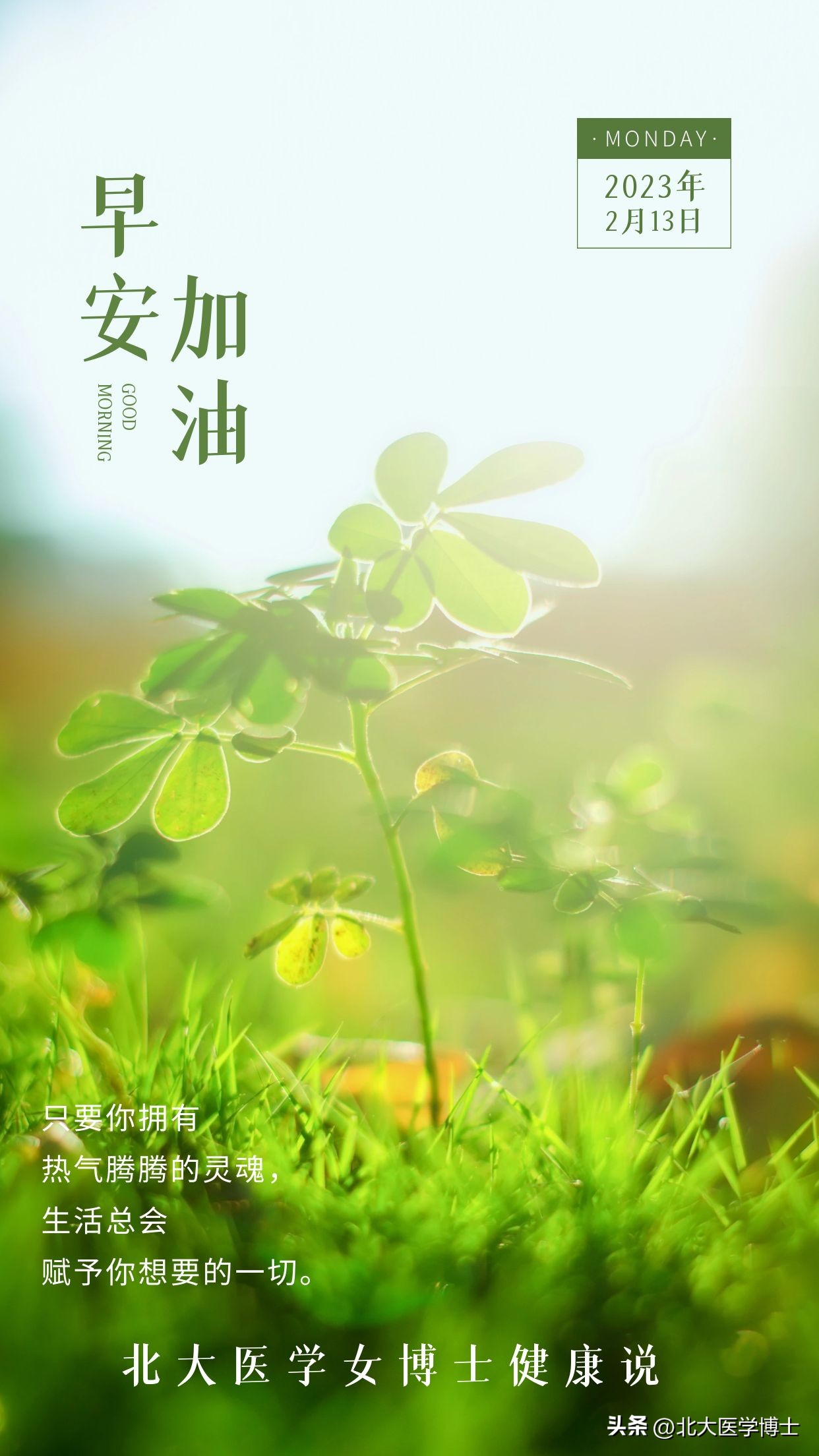 尿酸高引起的湿毒,湿寒痛风和尿酸高痛风有什么区别