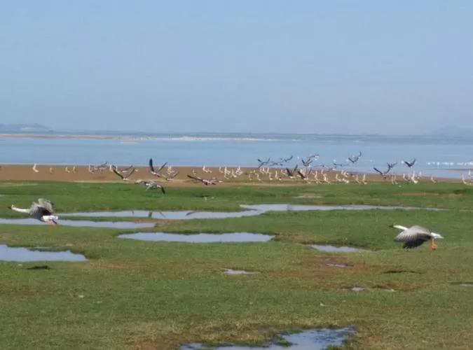 苦难的过去，救我们生命的鄱阳湖
