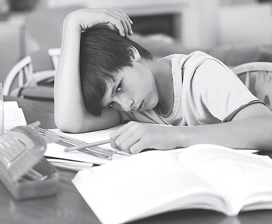 发现数学之美书,好书推荐数学之美