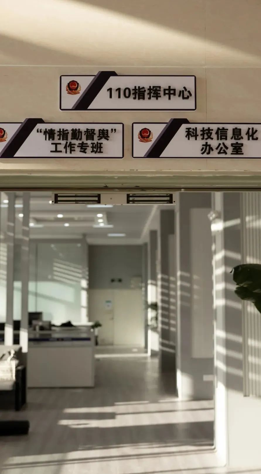 平安云南官网,丽江平安