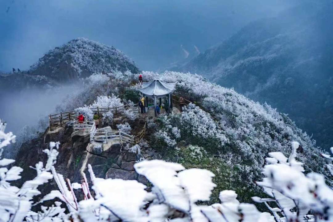 2021连州金子山雾凇观赏时间,广州金子山雾凇