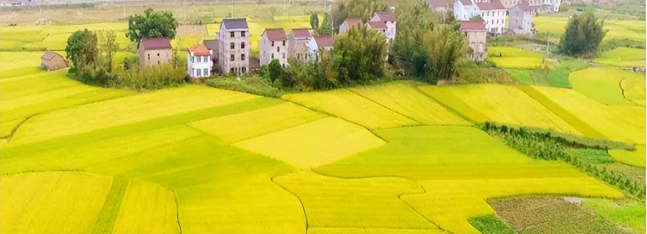 武穴梅川河边的上徐姨妈