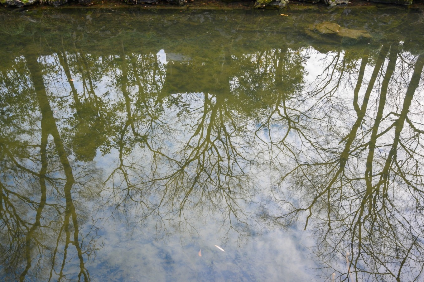 苏州双面绣,走进苏州双面绣