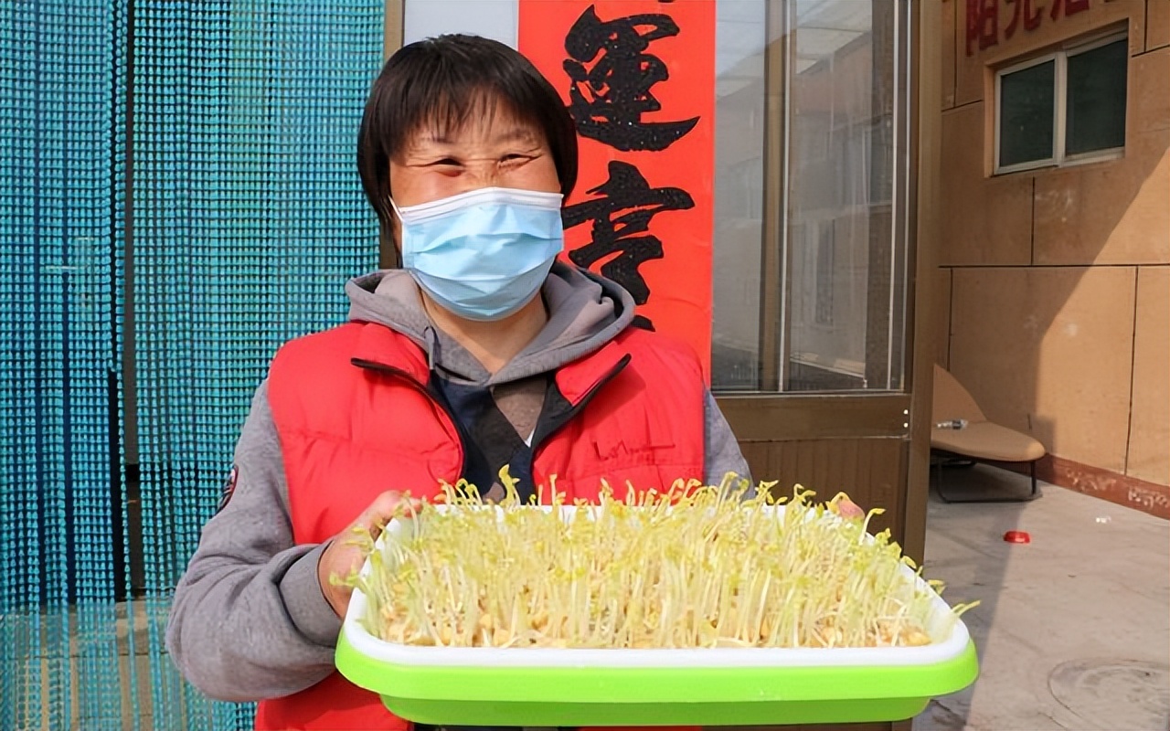 自制免浇水发豆芽,自己怎么做发豆芽神器