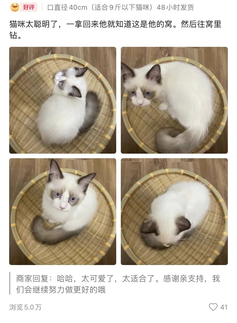 抖音卖爆的玩具,抖音卖爆过的玩具