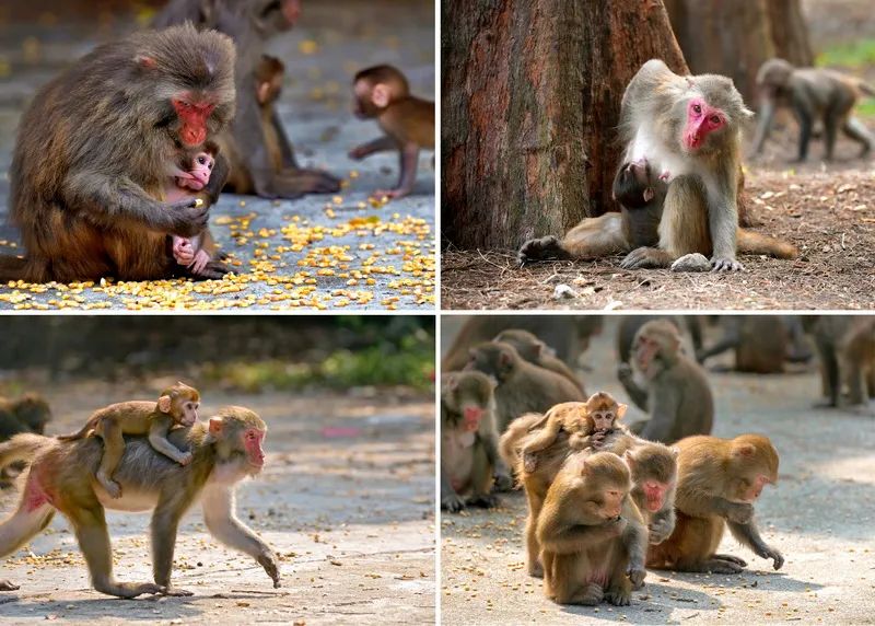 棣栧眾浼朵粌娲嬫澂鍏ㄥ浗鎽勫奖澶у睍,鍠滆繋浜屽崄澶ф憚褰卞睍寰侀泦