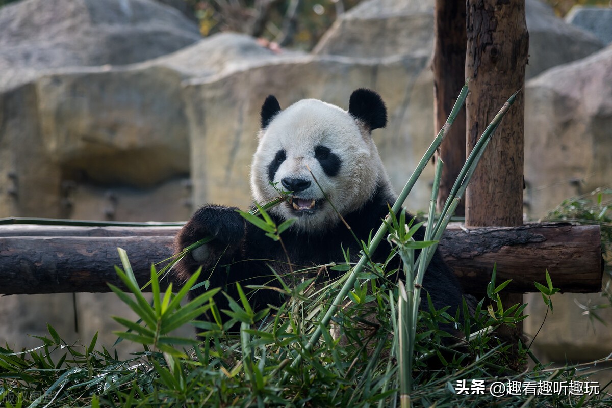 上海130家旅游景区在哪里,上海青浦区aaaa级旅游景点贵吗
