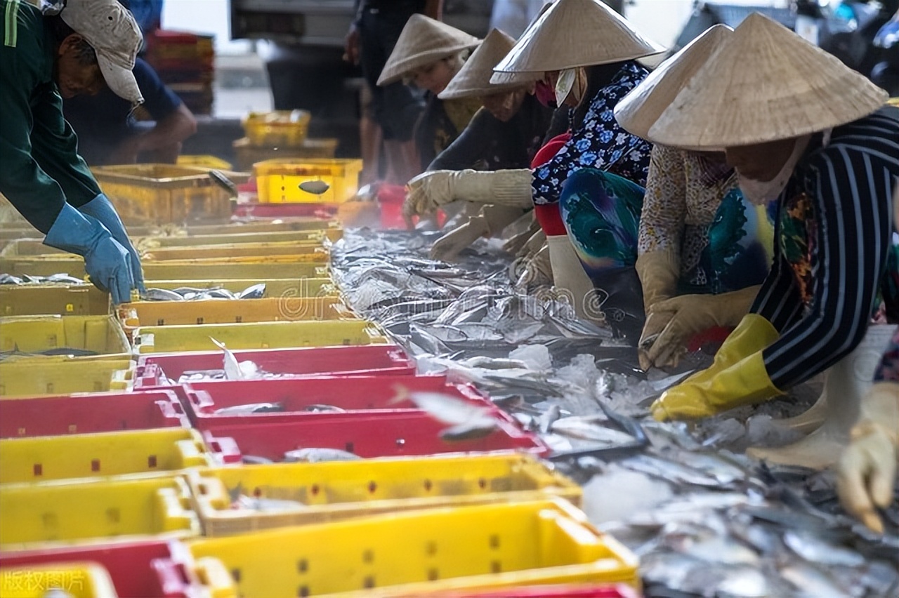 越南二季度发展迅速,GDP增长7.72%,原因是什么?对我国有影响吗