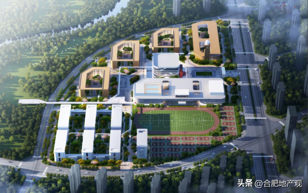 合肥各个区域学区学校排名,合肥五中东校区学区划分