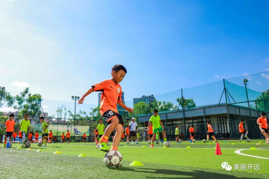 体教融合促进青少年高质量发展,体教融合助力青少年健康成长