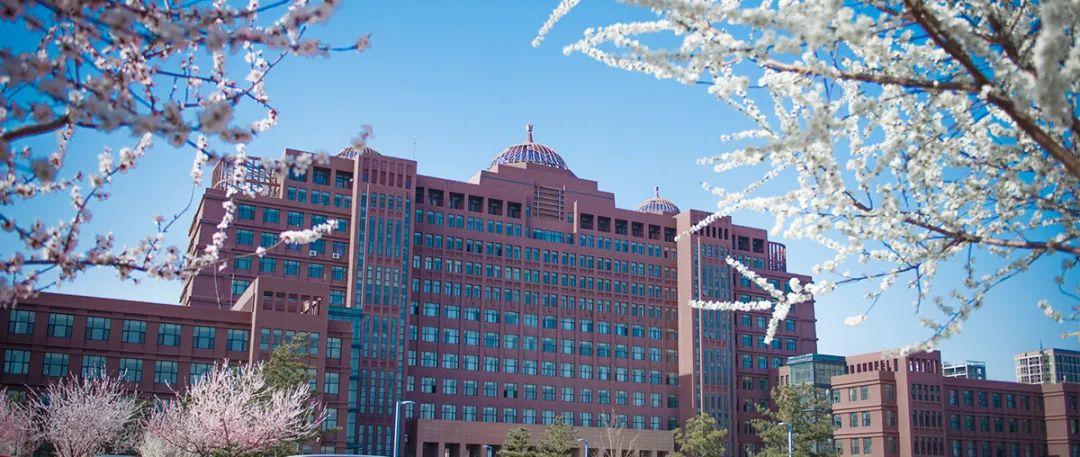 艺术生考编推荐,艺术类考编上岸