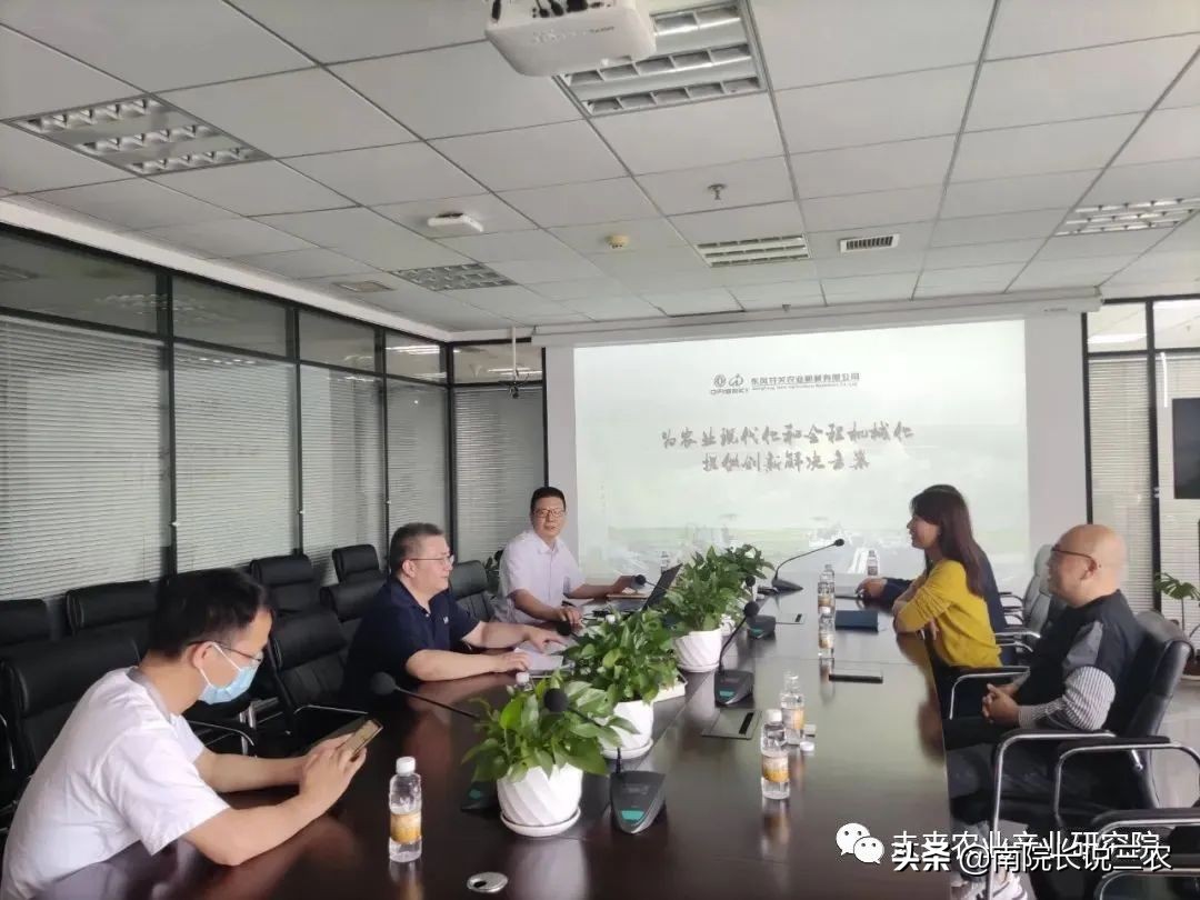 中国希望之星6,希望之星中国之星