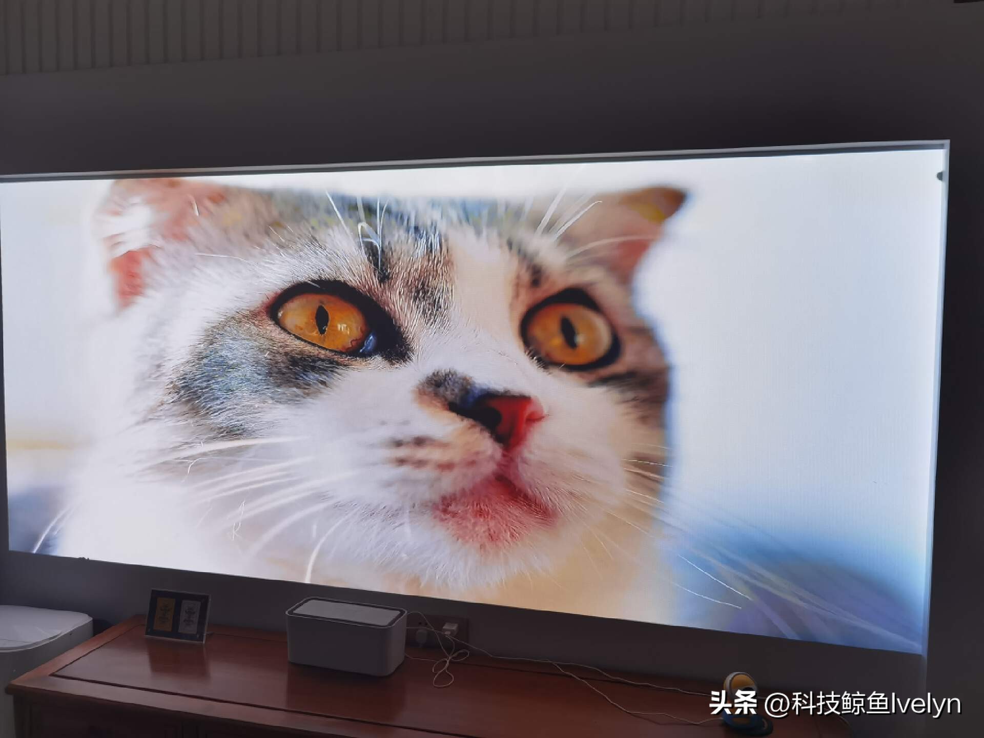 aoc投影仪k1s帝瓦雷,帝瓦雷k1s投影仪