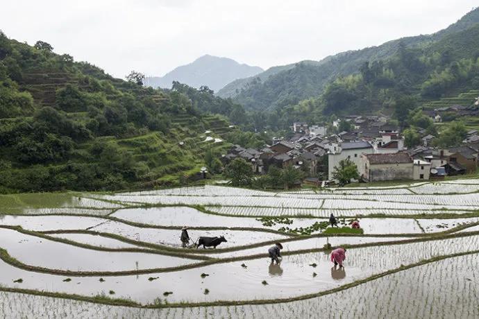 你理想中的乡村生活是这样的吗,你眼中的乡村生活是什么色彩的