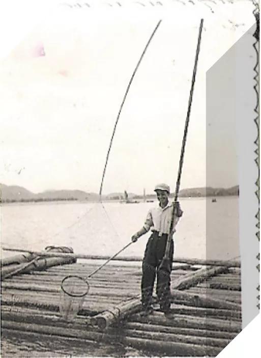 难忘小学的时光作文,难忘校园时光