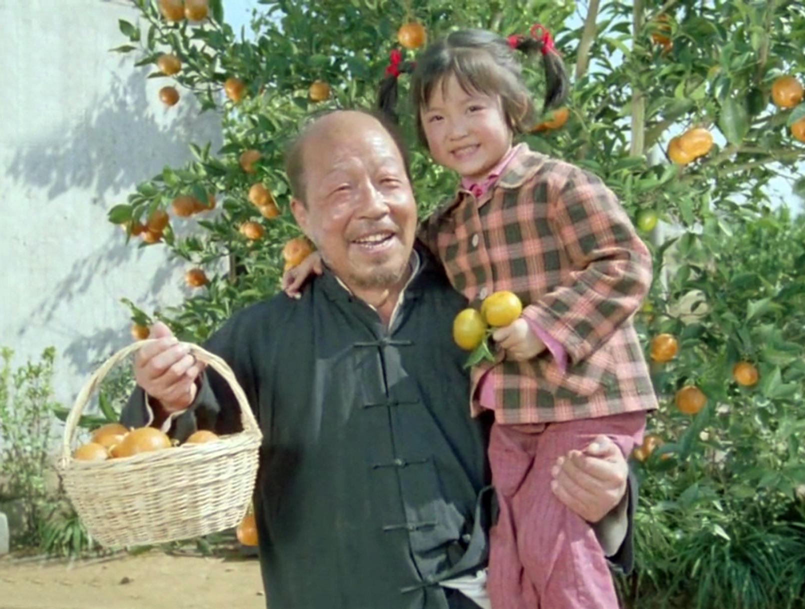 金鸡奖最好的演员,金鸡奖最佳演员奖