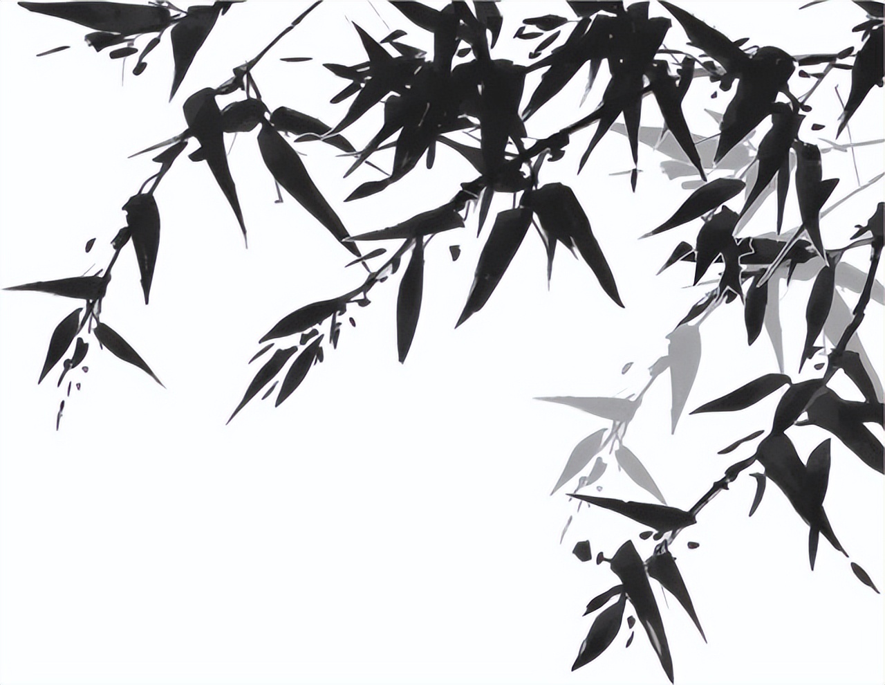 天道忌满人道忌全道德经第几章,道德经人道与天道的关系