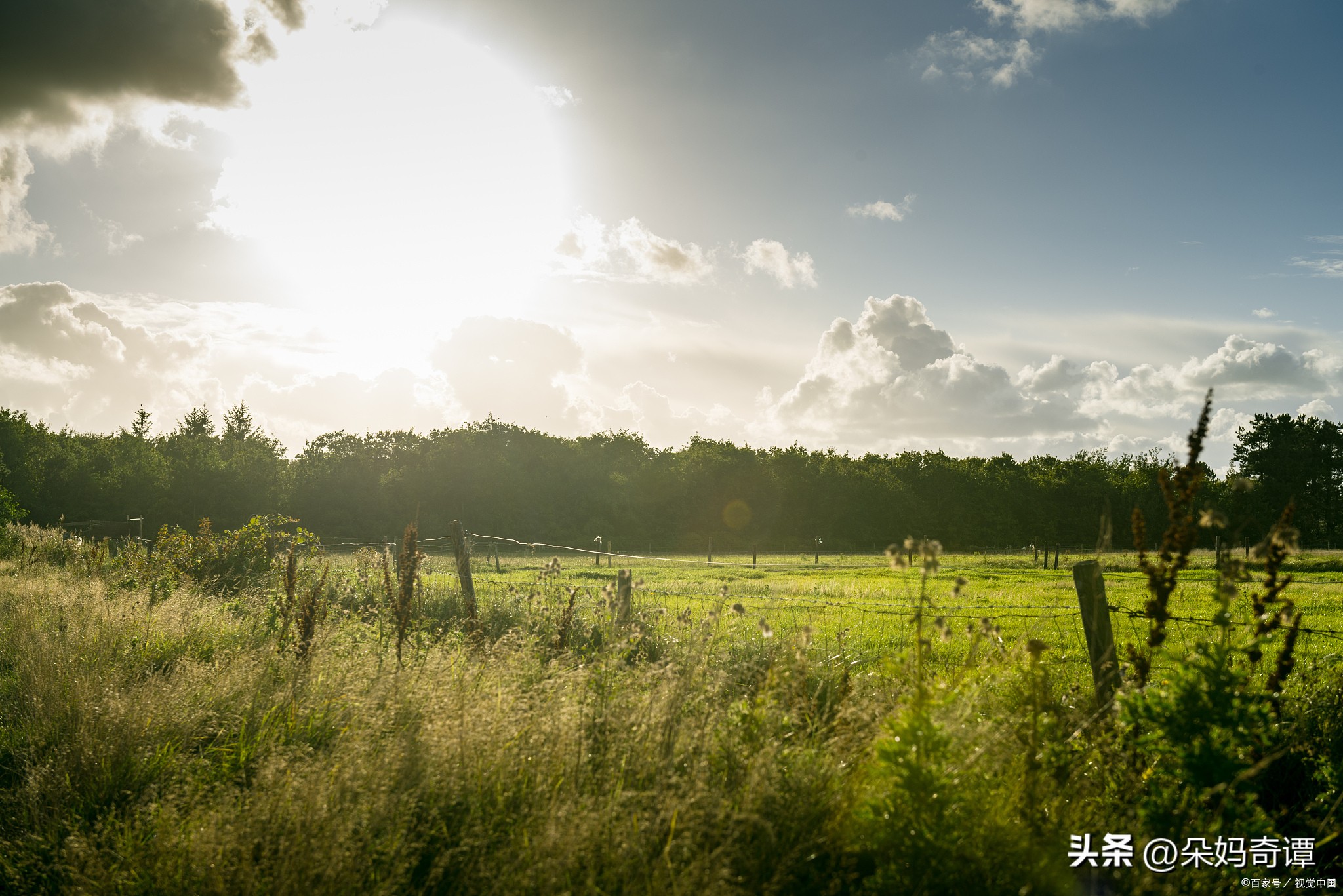 写作800天复盘,我有过复盘自己写作的经历吗