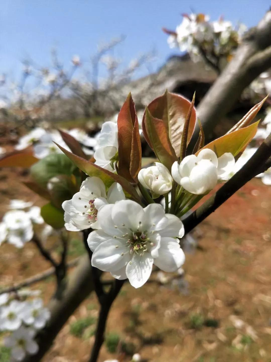 三明建宁攻略,三明建宁一日游最佳路线