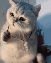 丝袜上可以纹身吗,穿丝袜能看出来纹身吗