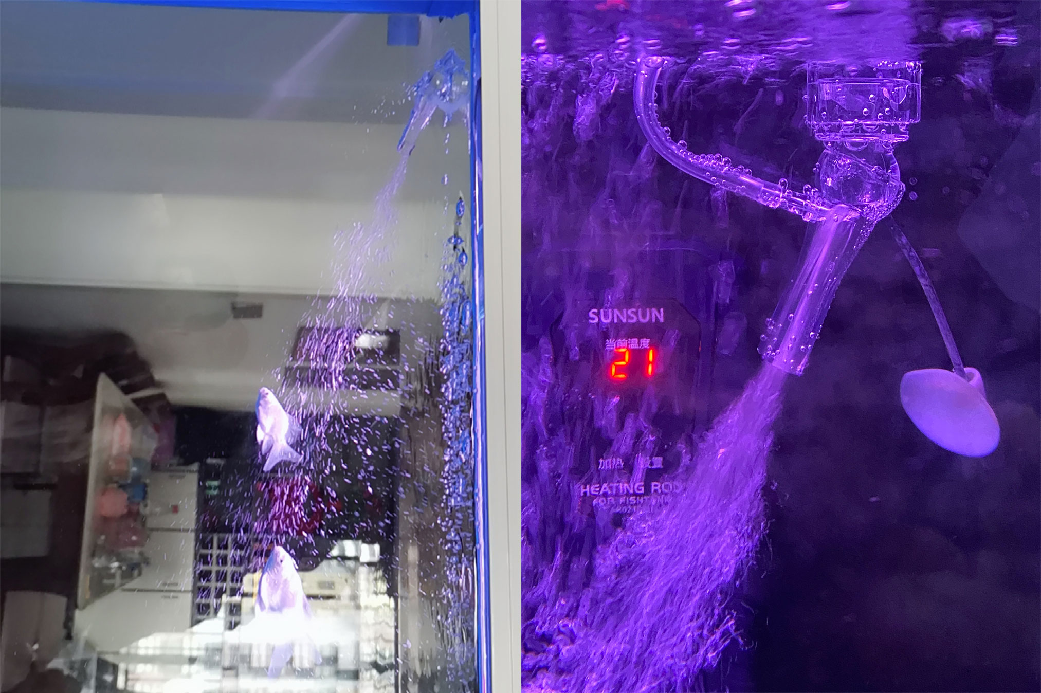 鱼缸出水口怎么既能出水又能增氧,制作鱼缸出水口增氧炮视频