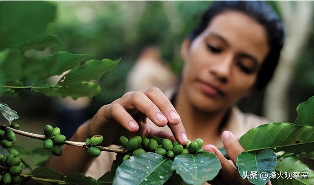 外交部对洪都拉斯表态表示欢迎,洪都拉斯与中国建交互派大使